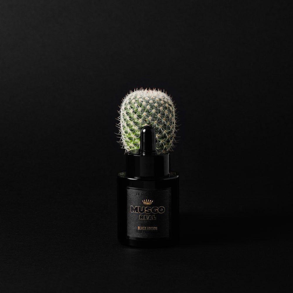 Vaj Mjekre Musgo Real Black Edition 30ml