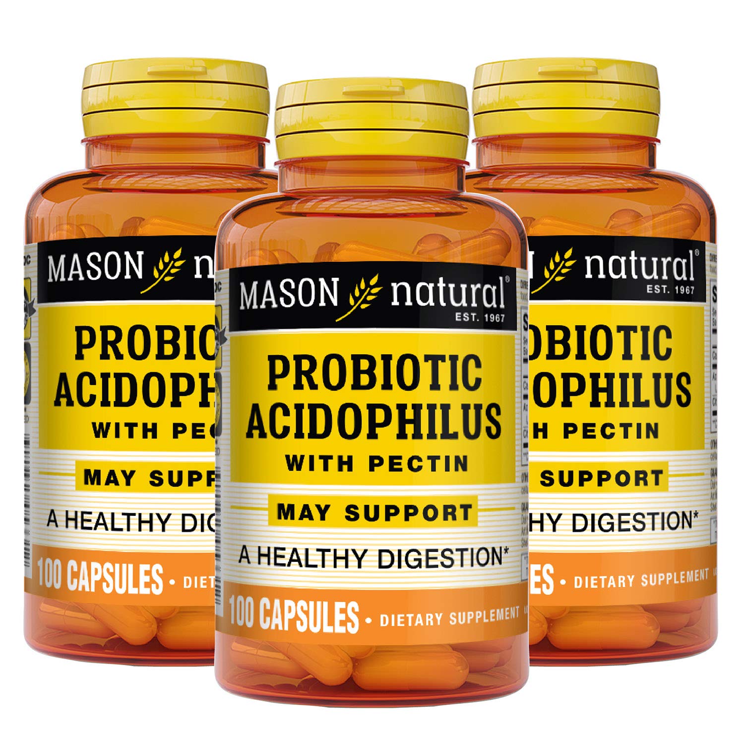 Mason Natural Probiotic Acidophilus me Pektinë, 100 Kapsula