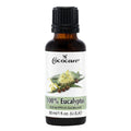 Cococare 100% Vaj Masazhi Eukalipt – 30 ml