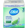 Dial Antibakterielle Deodorant Seife, Mountain Fresh, 113g, 3 Stück