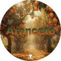 Wholly Kaw Aranceto Rasierkollektion