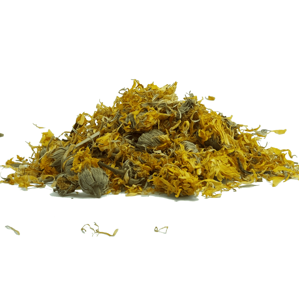 Calendula Flower