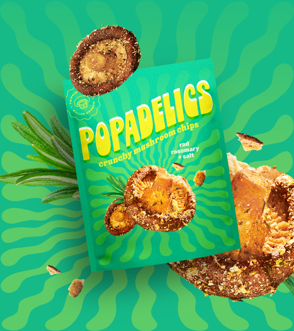 Popadelics Crunchy Mushroom Chips — Rad Rosemary + Salt | 6-Pack