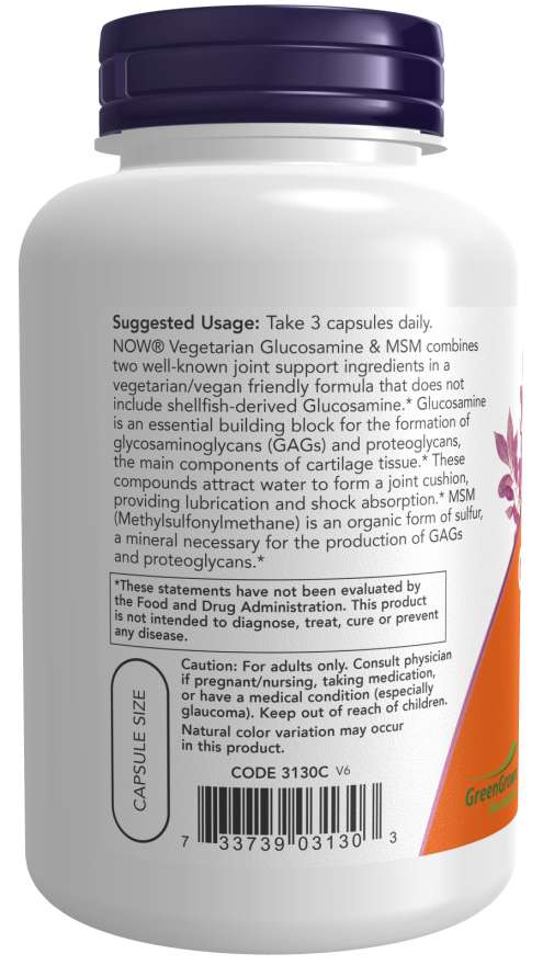 Glucosamine & MSM
