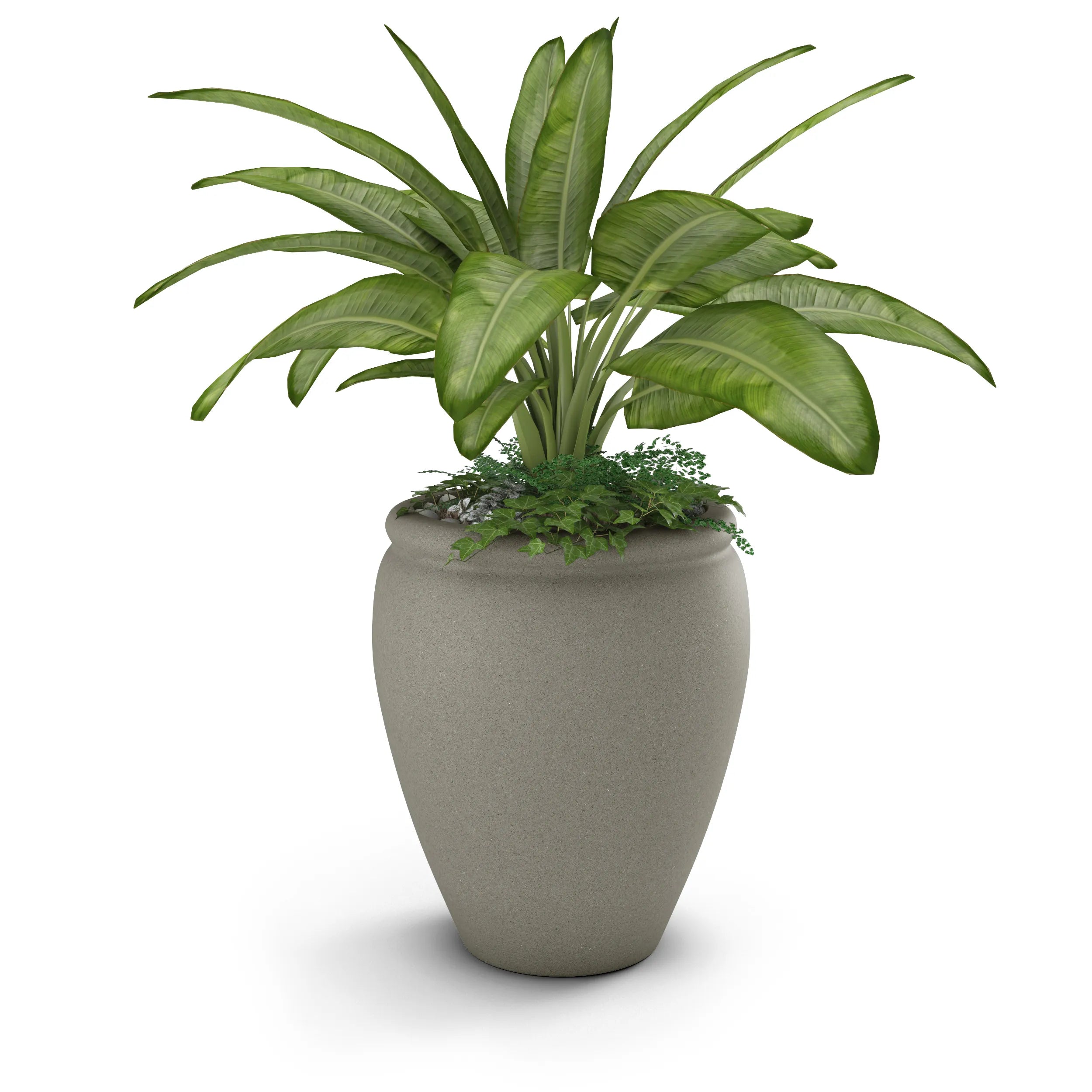 Bambino Planter