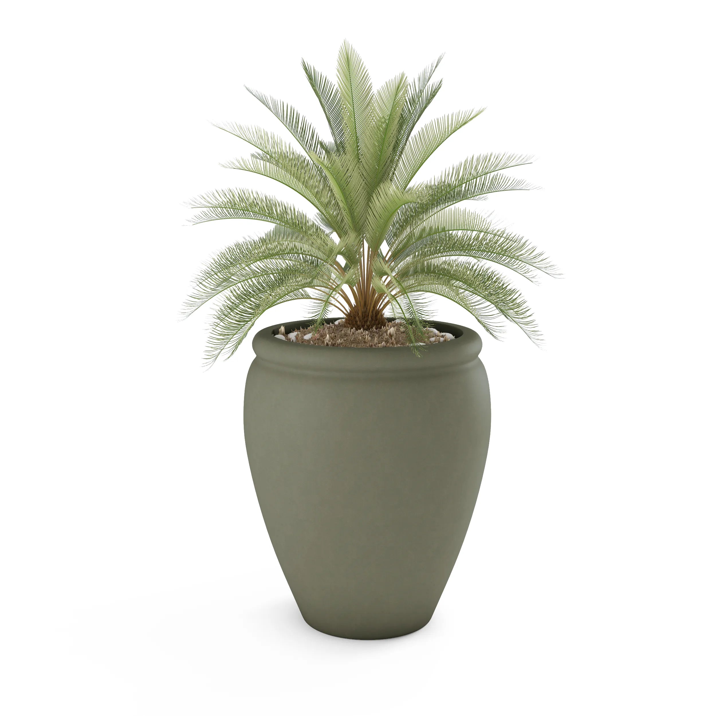 Bambino Planter