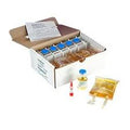 PATT (Personal Aseptic Technique Test Kit), 5 Tests