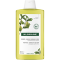 Klorane reinigendes Shampoo für normales bis fettiges Haar mit Zitrusfrüchten 400ml