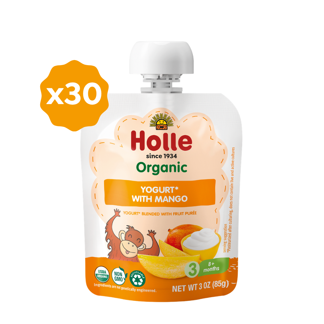Holle Organic Mango Yogurt Pouches